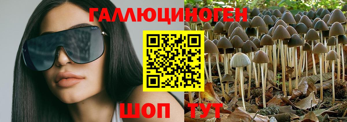 Ревда  Псилоцибиновые грибы прущие грибы  Псилоцибиновые грибы мухоморы  Вход с VPN 